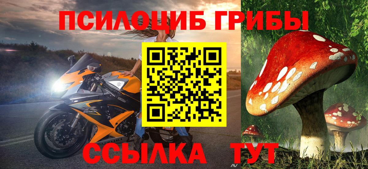 Псилоцибиновые грибы Psilocybine cubensis  Вход с VPN  Серпухов 